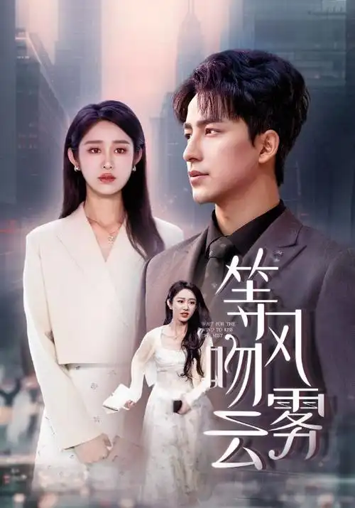 爱的迫降 韩剧在线观看